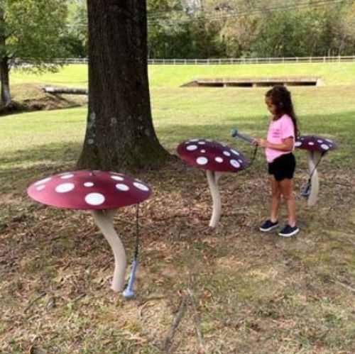 Struttura ludica musicale - MUSHROOM    - Nature of Early Play - per parco giochi / in metallo