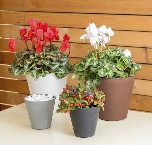 Vaso da giardino in plastica - HOOP - TeraPlast - da appoggio / rotondo