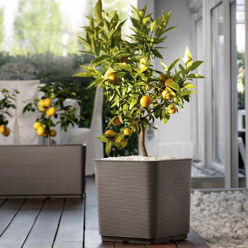 Vaso da giardino in plastica - PIXEL - TeraPlast - da appoggio / quadrato
