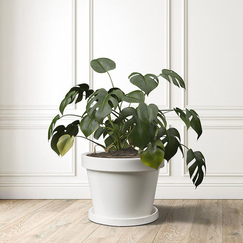 Vaso da giardino in polietilene rotostampato - Venere - PASQUINI & BINI - da appoggio / rotondo / per uso residenziale