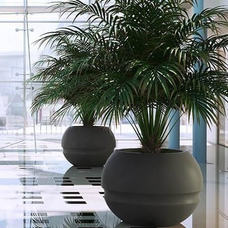 Vaso da giardino in polietilene rotostampato - Marte - PASQUINI & BINI - rotondo / per uso residenziale / marrone