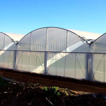 Serra contract - MULTIMED - Europrogress - da giardinaggio / multitunnel / in vetro