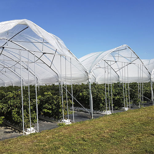 Serra contract - MULTIEASY - Europrogress - da giardinaggio / multitunnel / in plastica