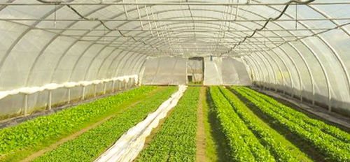 Serra contract - TUNNEL  - CMF GROUPE - da giardinaggio / a tunnel monofalda / in plastica