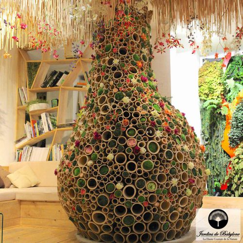 Giardino indoor - THE MAJESTIC BAMBOO BAOBAB - Jardins de Babylone