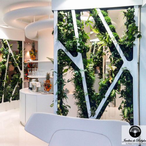 Quadro vegetale stabilizzato - THE “GRAND LARGE” LOUNGE - Jardins de Babylone - in fogliame / in muschio / da interno