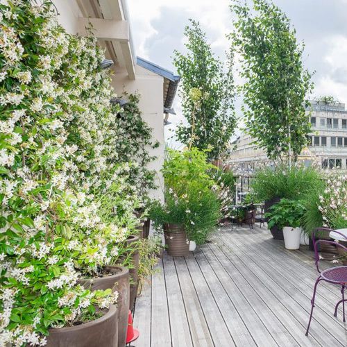 Tetto verde - FÉDÉRATION FRANÇAISE DE LA TANNERIE MÉGISSERIE - Jardins de Babylone