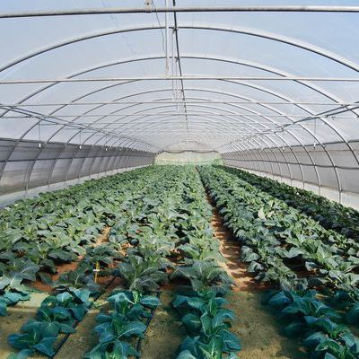 Serra contract - 9,30M - Serres Jrc - da giardinaggio / a campata / con struttura in alluminio