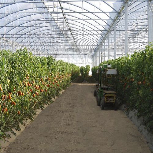 Serra contract - ATLANTIQUE 9.60M - Serres Jrc - da giardinaggio / a campata multipla / con struttura in alluminio