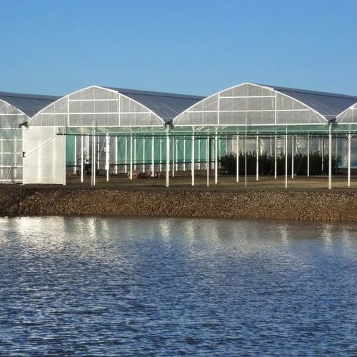 Serra contract - ATLANTIQUE 11.60M - Serres Jrc - da giardinaggio / a campata multipla / in plastica
