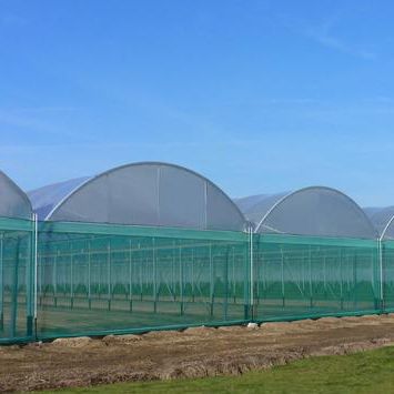 Serra contract - BALTIQUE - Serres Jrc - da giardinaggio / a campata multipla / in plastica