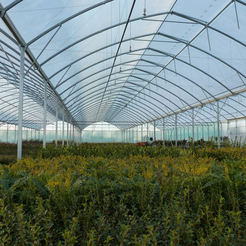 Serra contract - 1.60M ATLANTIQUE HORTICULTURAL - Serres Jrc - da giardinaggio / a campata multipla / con struttura in alluminio