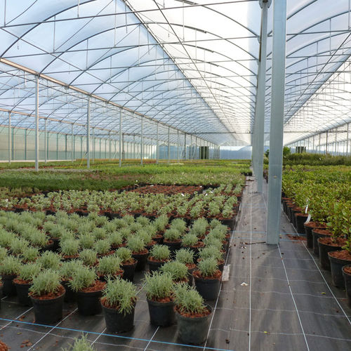 Serra contract - 9.60M ATLANTIQUE HORTICULTURAL - Serres Jrc - da giardinaggio / a campata multipla / con struttura in alluminio