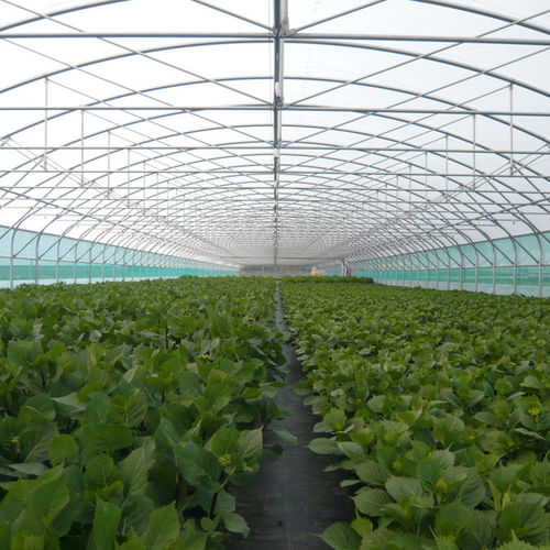 Serra contract - STRAIGHT-SIDED TUNNEL 6M - 7.80M - 9.60M - 12M - Serres Jrc - da giardinaggio / a tunnel monofalda / con struttura in alluminio