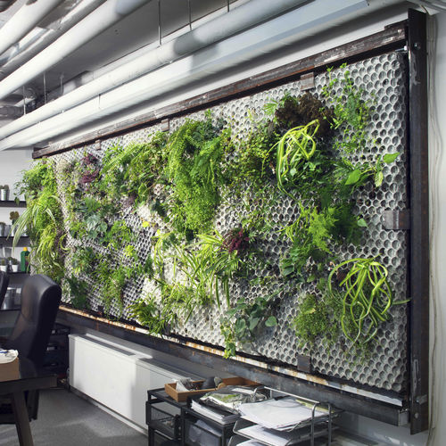 Parete vegetale da interno - STUDIOVERKET - butong - con struttura modulare