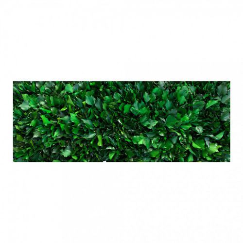 Parete vegetale stabilizzata - GVS-500-16 - green Habitat - in pannelli modulari / naturale / da interno