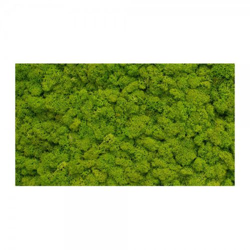 Parete vegetale stabilizzata - MNLM-605-16 - green Habitat - naturale / in muschio / da interno