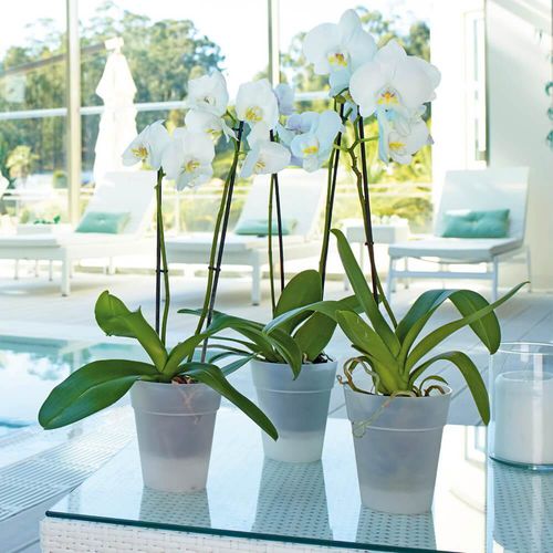 Vaso da giardino in polipropilene - CAPRI : ORCHID - Artevasi, S.A - da appoggio / rotondo