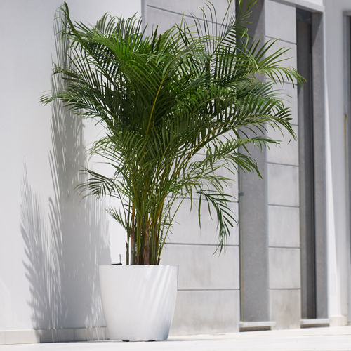 Vaso da giardino in polipropilene - SAN REMO  - Artevasi, S.A - quadrato / intelligente