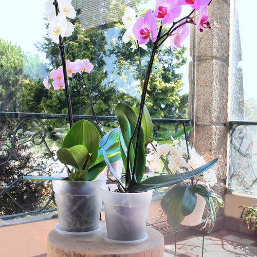 Vaso da giardino in polipropilene - MADAGASCAR  - Artevasi, S.A - rotondo / per uso residenziale