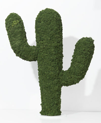 Pianta ornamentale stabilizzata - SHAPES - KAKTUS - Greenarea - totem / cactus / di piccole dimensioni
