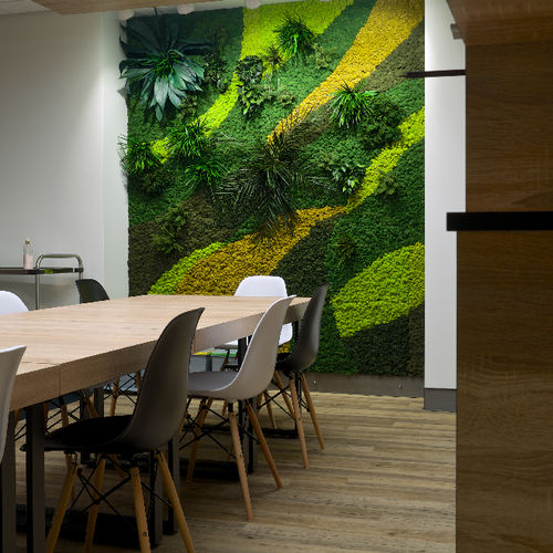 Pannello acustico per muro - CUSTOM+PLANTS  - Greenarea - di piante stabilizzate / rettangolare / per ufficio