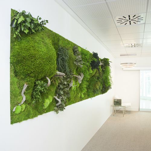 Pannello acustico per muro - MOSS&PLANTS MID 3D - Greenarea - di piante stabilizzate / rettangolare / testurizzato