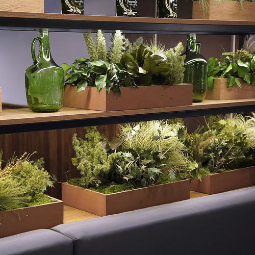 Fioriera in legno - MOSS&amp;PLANTS MID - Greenarea - rettangolare / quadrata / su misura
