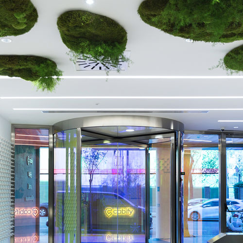 Controsoffitto in pannelli - MOSS&PLANTS MID - Greenarea - vegetalizzato / decorativo