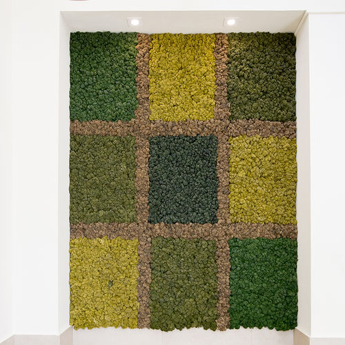 Lichene stabilizzato - CUSTOM GREEN COLORS - Greenarea