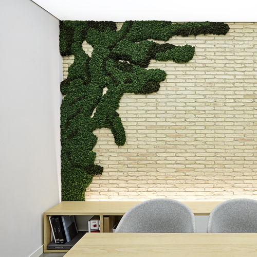 Parete vegetale stabilizzata - CUSTOM GREEN LICHEN - Greenarea - su misura / in lichene / da interno