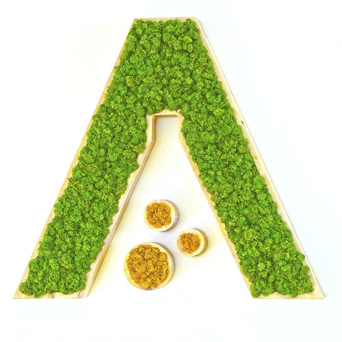 Quadro vegetale stabilizzato - MOSS IDENTITY - Greenarea - in lichene / da interno / su misura