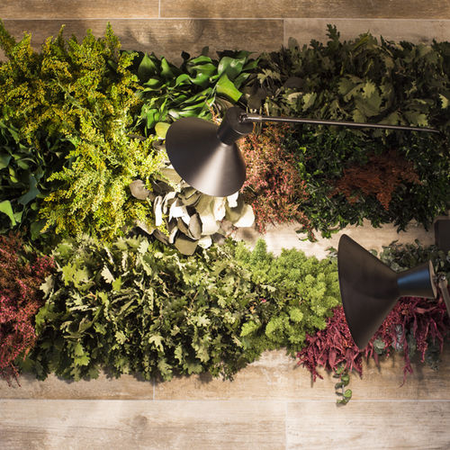 Foglia ornamentale stabilizzato - MOSS&PLANTS COTTAGE - Greenarea - da interno