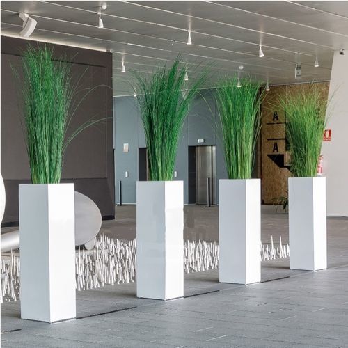 Pianta ornamentale stabilizzata - SGI/0112 - Végétal Indoor - di grandi dimensioni / da interno