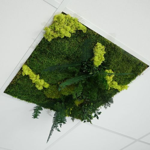 Controsoffitto in PET - Verde - Végétal Indoor - a quadrotte / da interno / acustico