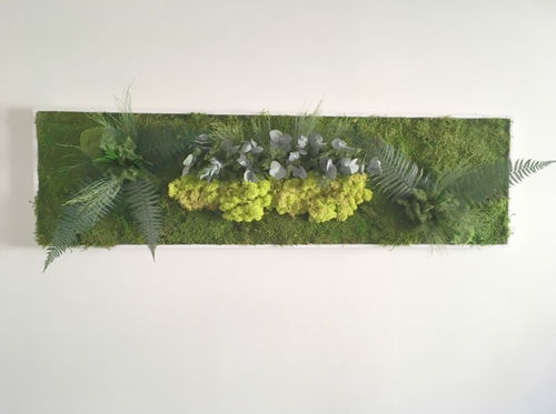 Quadro vegetale stabilizzato - ZENICHUDO - PLANTE STABILISEE - in muschio / in fogliame / in lichene