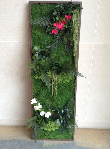 Quadro vegetale stabilizzato - STABILIZED - PLANTE STABILISEE - in lichene / floreale / da interno