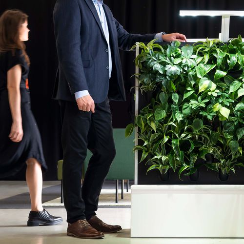 Parete vegetale stabilizzata - FLOW DUO - NAAVA - in pannelli modulari / naturale / da interno