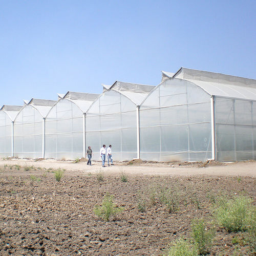 Serra contract - GOTHIC  - ULMA Agricola - botanica / da giardinaggio / di produzione