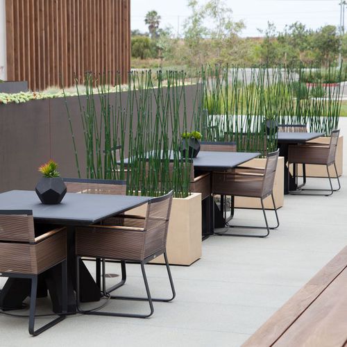 Fioriera in fibra di vetro - HORSETAIL GROVES - PLANTERS UNLIMITED - rettangolare / contemporanea / per spazi pubblici
