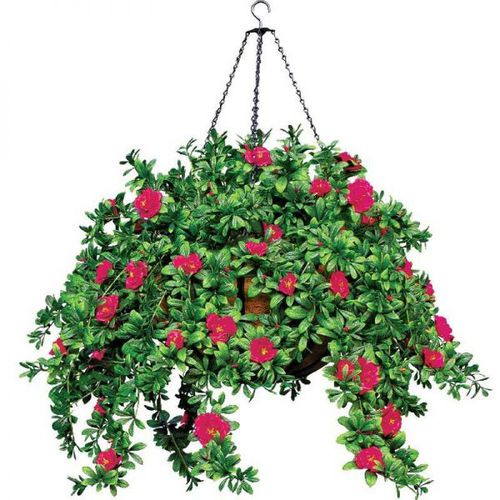 Vaso da giardino in ferro modellato - AZALEA - PLANTERS UNLIMITED - in noce di cocco / sospeso / rotondo