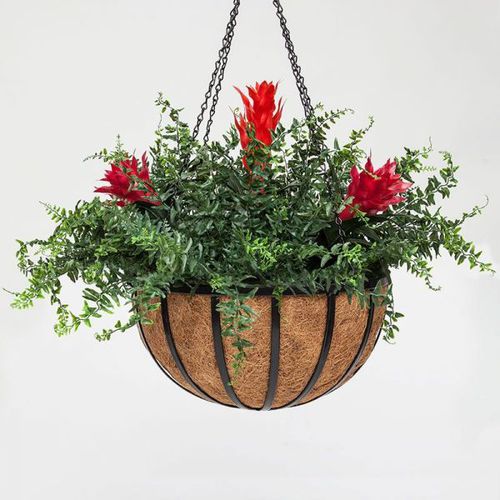 Vaso da giardino in acciaio - BROMELIAD - PLANTERS UNLIMITED - in noce di cocco / sospeso / rotondo