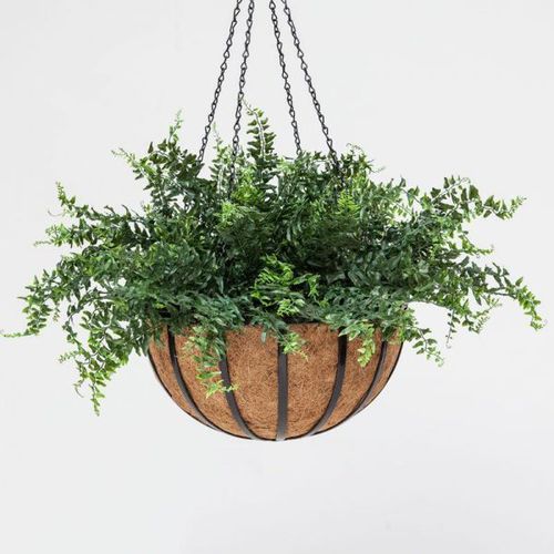 Vaso da giardino in acciaio - FERN - PLANTERS UNLIMITED - in noce di cocco / sospeso / rotondo