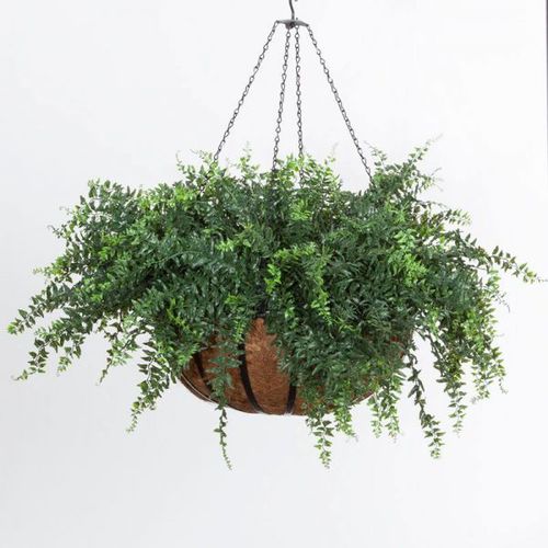 Vaso da giardino in ferro modellato - BUCKLER FERN - PLANTERS UNLIMITED - in fibra di vetro / sospeso / rotondo