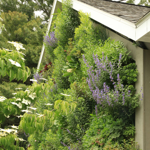 Giardino verticale di piante viventi - LIVESCREEN®  - LiveWall - da interno / da esterno