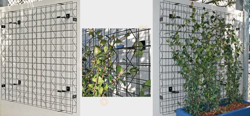 Parete vegetale in fogliame - VERTIGREEN - Tournesol SITEWORKS - da interno / da esterno / modulare