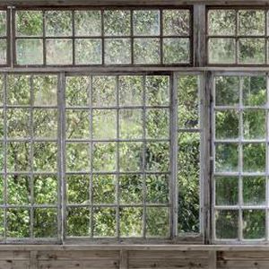 Carta da parati contemporanea - GREENHOUSE - Mr Perswall - con motivi naturali / multicolore / con motivo stampato