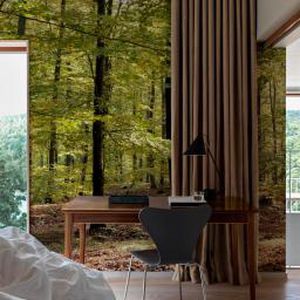 Carta da parati design originale - AUTUM FOREST - Mr Perswall - con motivi naturali / aspetto carta da parati / verde