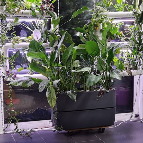 Fioriera in plastica - SUPRABASE - Supragarden - rettangolare / contemporanea / da esterno