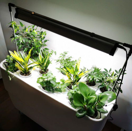 Luce da coltivazione - GROW LIGHT - Supragarden - sospesa / LED / lineare